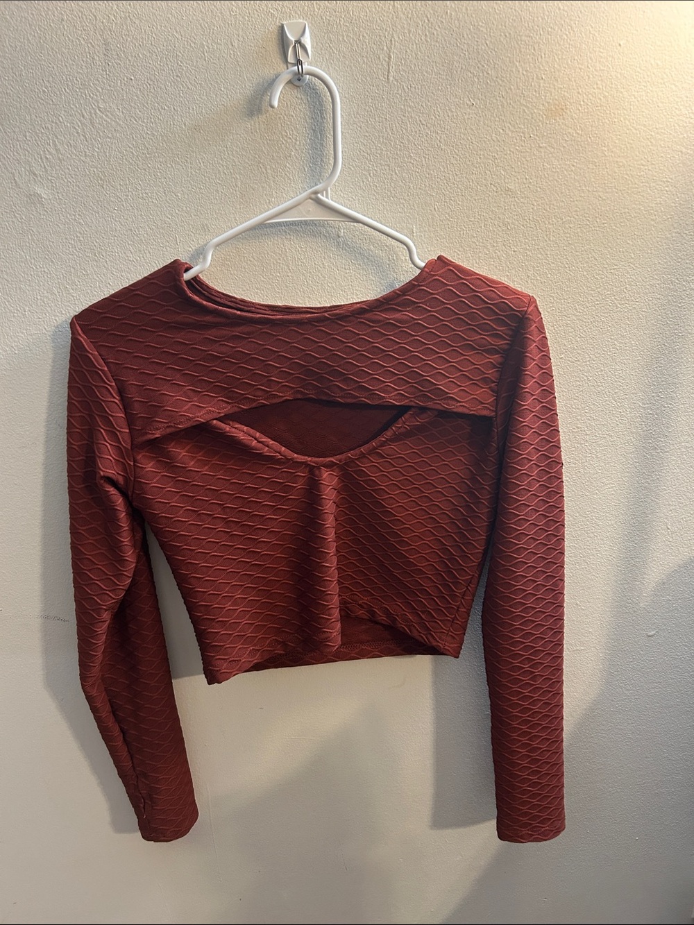 Women’s Burgundy Textured Long-Sleeve Crop Top with Back Cutout